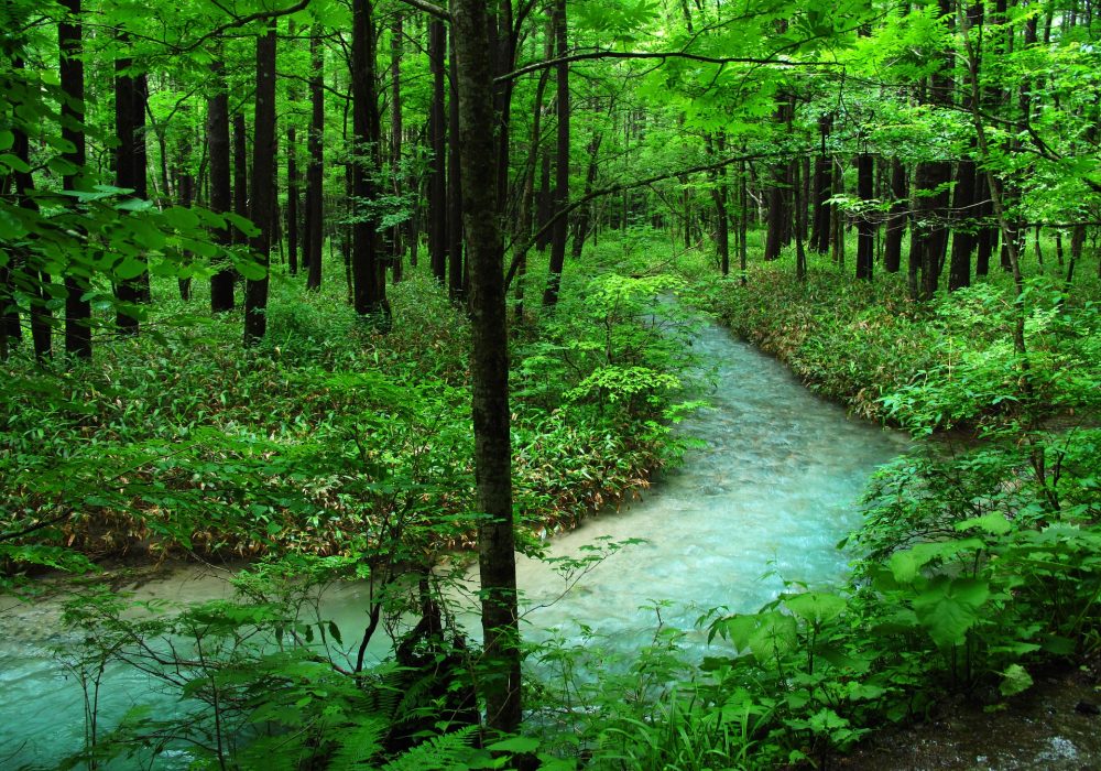 kamikochi-1757108_1920
